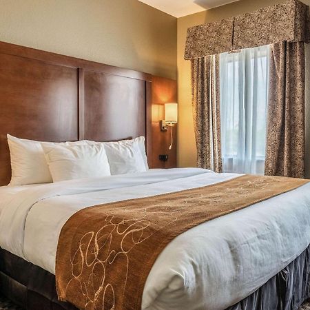 Comfort Suites Near Texas State University San Marcos Exterior foto