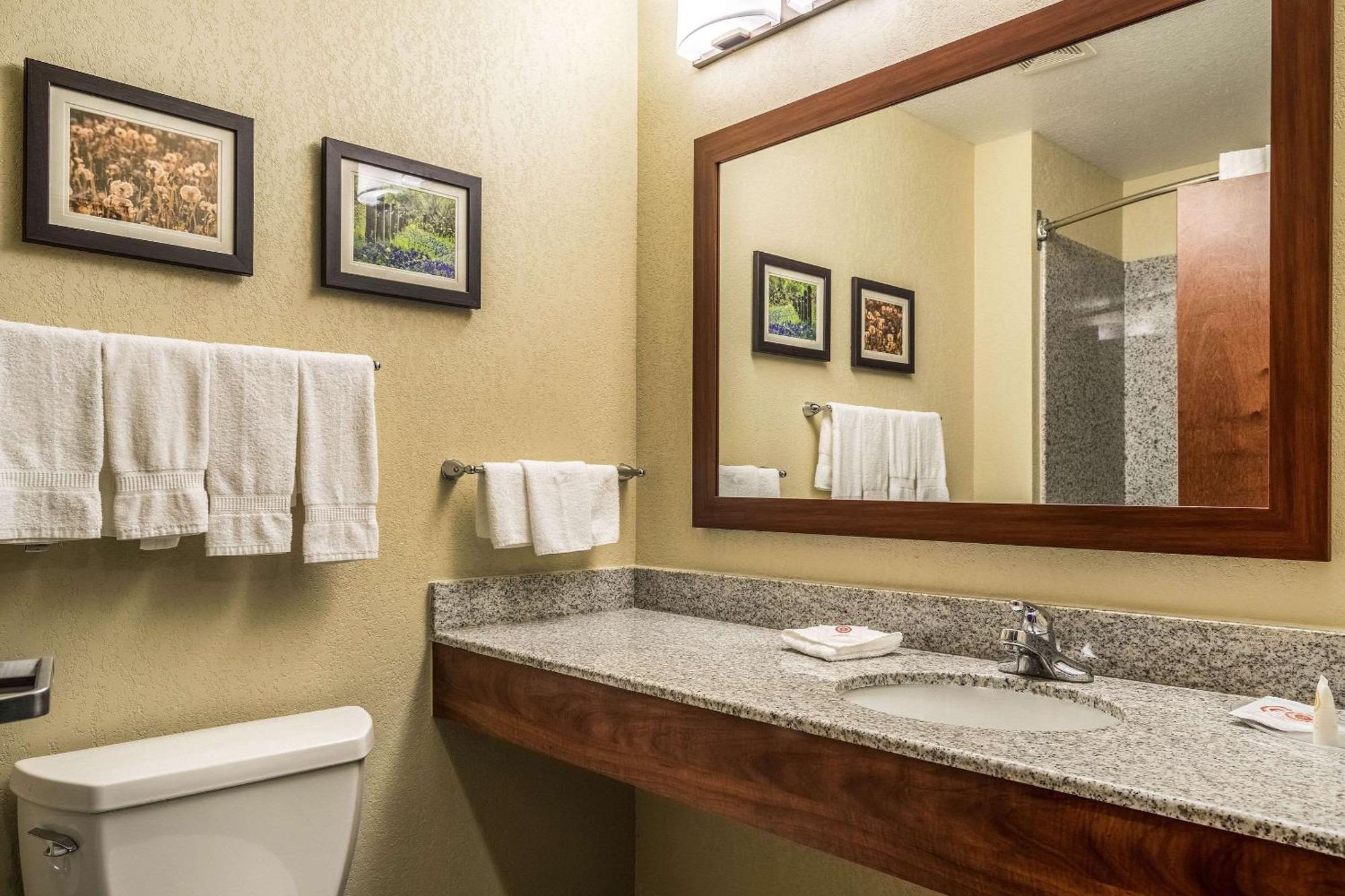 Comfort Suites Near Texas State University San Marcos Exterior foto